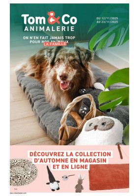 Tom&Co Catalogue