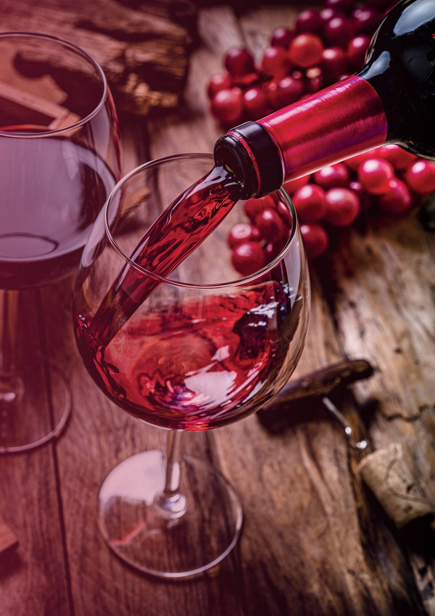 Nicolas Catalogue - Pagina 9