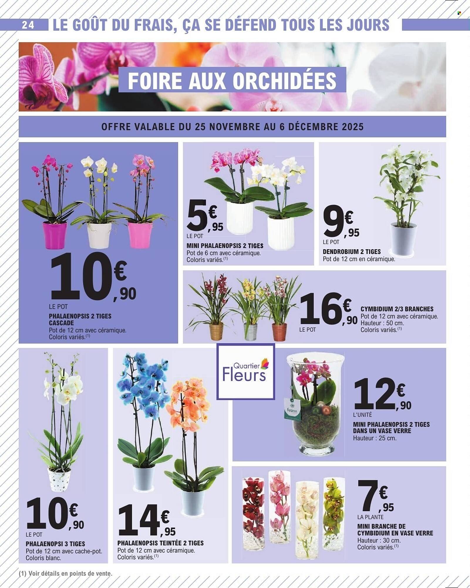 E.Leclerc Catalogue - Pagina 24