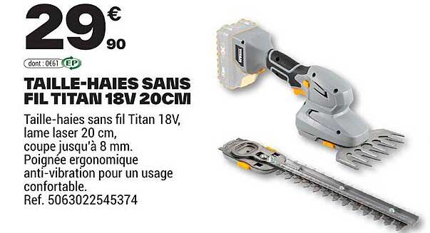 Sitemapcdatahttpsfedykniqoocomtaille Haies Electrique Brico Depot