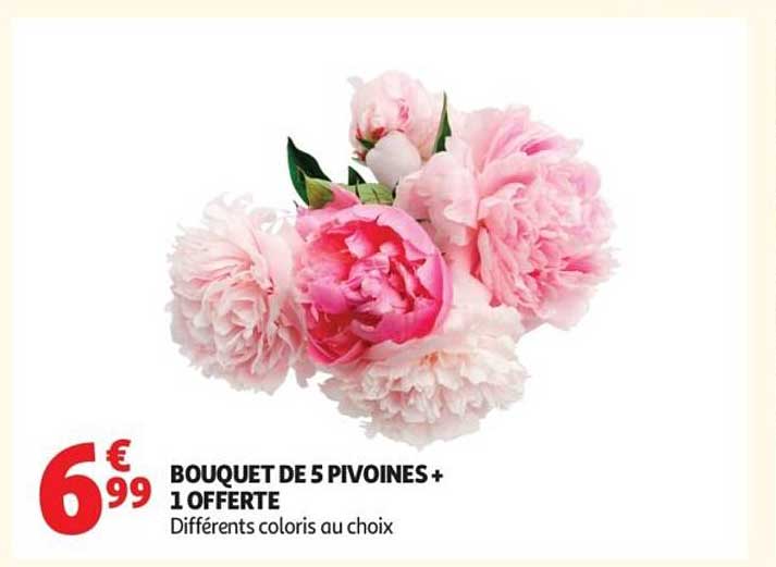 BOUQUET DE 5 PIVOINES + 1 OFFERTE