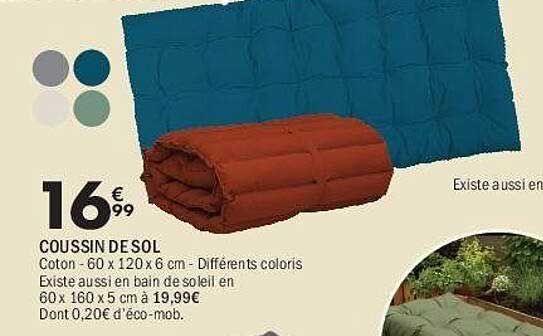COUSSIN DE SOL