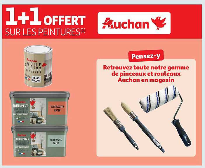 1+1 OFFERT SUR LES PEINTURES(1)