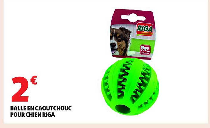BALLE EN CAOUTCHOUC POUR CHIEN RIGA
