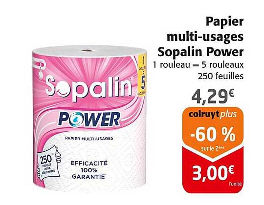 Papier multi-usages Sopalin Power