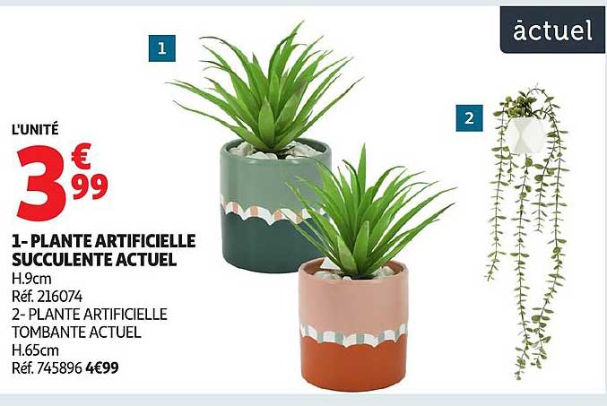 PLANTE ARTIFICIELLE SUCCULENTE ACTUEL