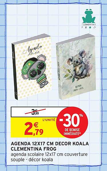 AGENDA 12X17 CM DECOR KOALA CLEMENTINA FROG