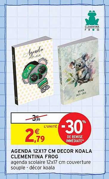 AGENDA 12X17 CM DECOR KOALA CLEMENTINA FROG