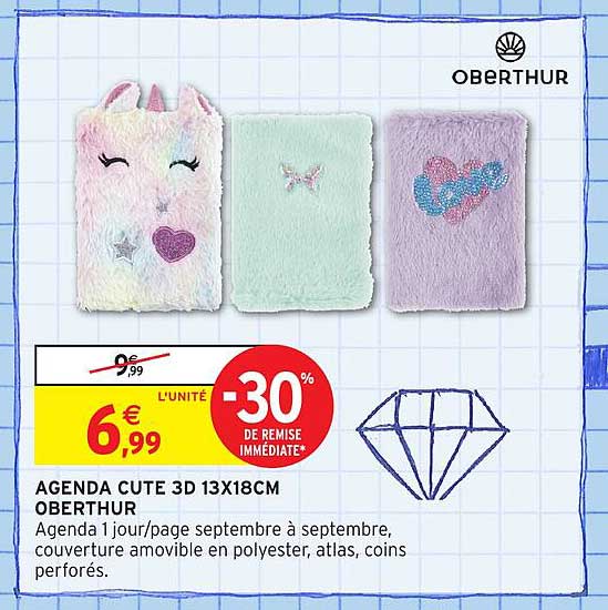 AGENDA CUTE 3D 13X18CM OBERTHUR