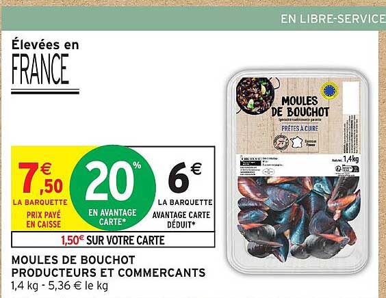 MOULES DE BOUCHOT
