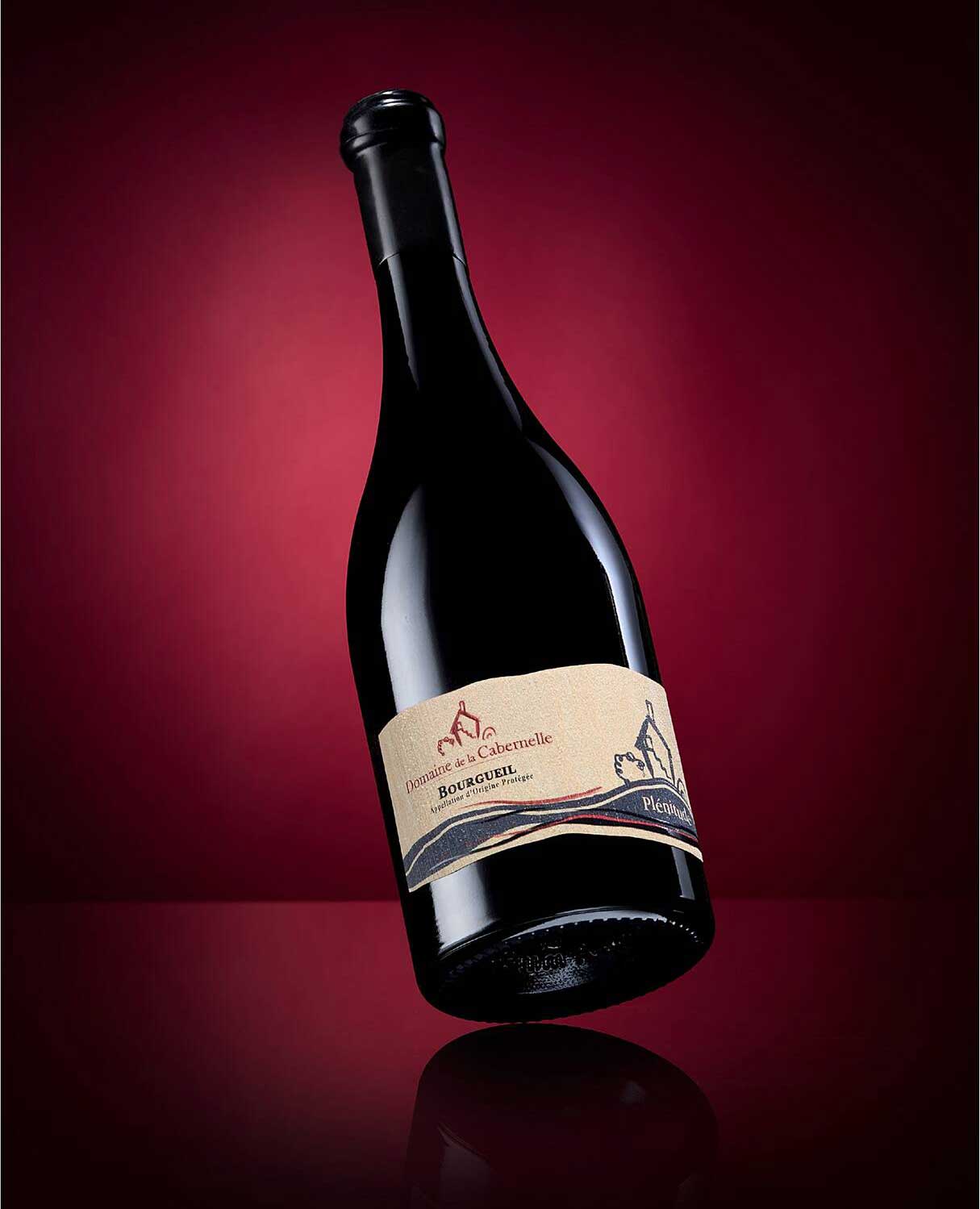 Bourgueil - Domaine de la Cabernelle