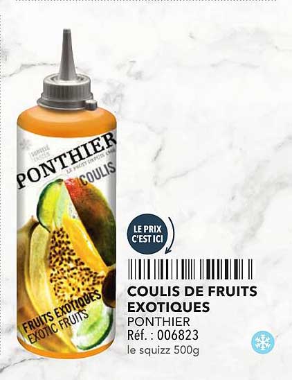 COULIS DE FRUITS EXOTIQUES