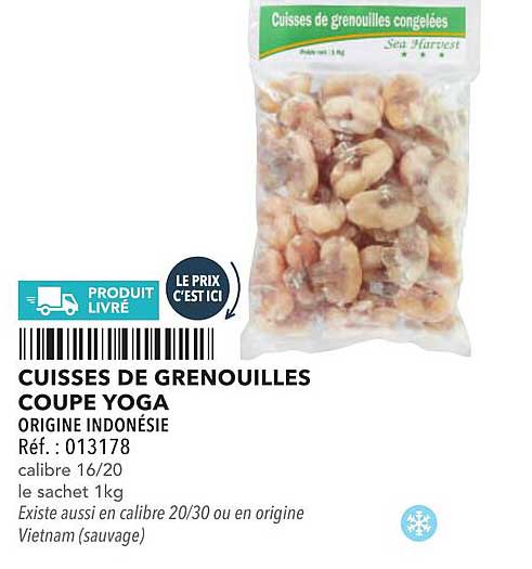 CUISSES DE GRENOUILLES COUPE YOGA