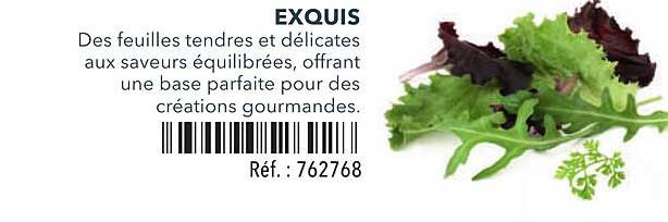 EXQUIS