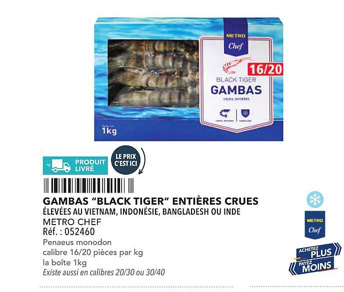 GAMBA “BLACK TIGER” ENTIÈRES CRUES