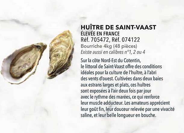 HUÎTRE DE SAINT-VAAST