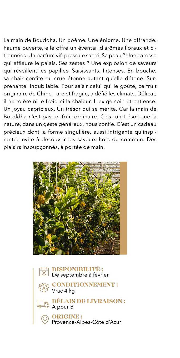 La main de Bouddha