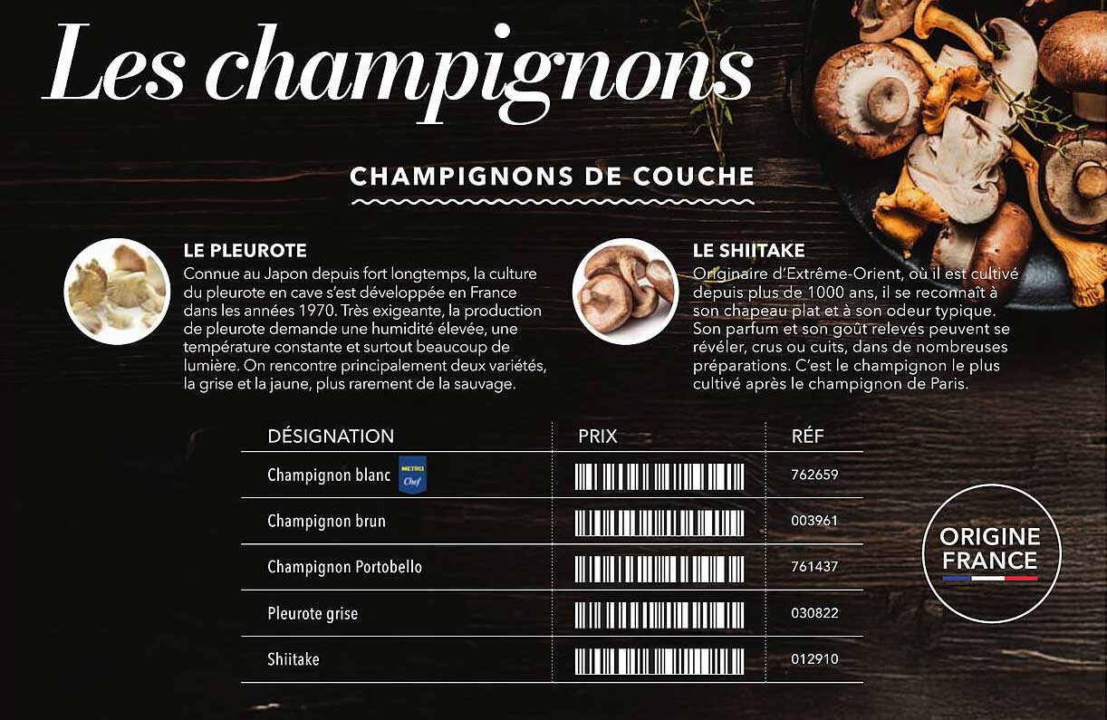 Les champignons de couche