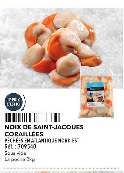 NOIX DE SAINT-JACQUES CORAILLÉES