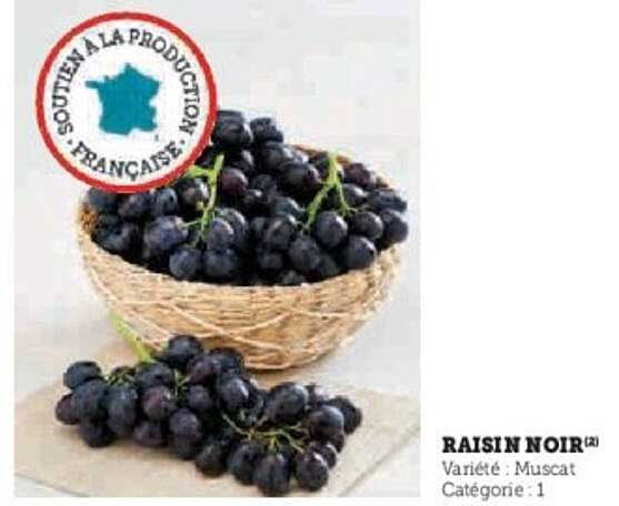 RAISIN NOIR