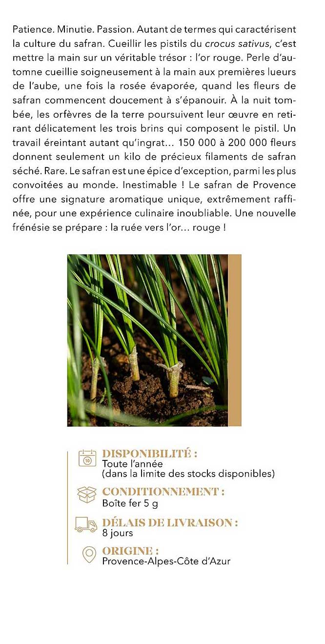 Saffran de Provence en boîte de 5 g