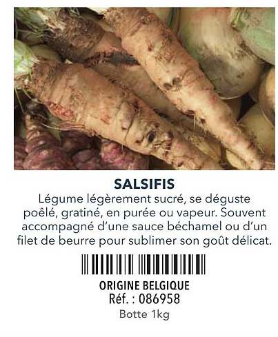 SALSIFIS