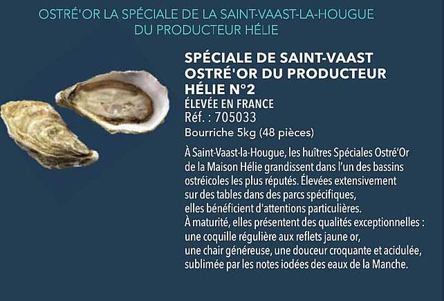 SPÉCIALE DE SAINT-VAAST OSTRé'OR DU PRODUCTEUR HÉLIE N°2