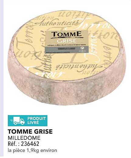 TOMME GRISE