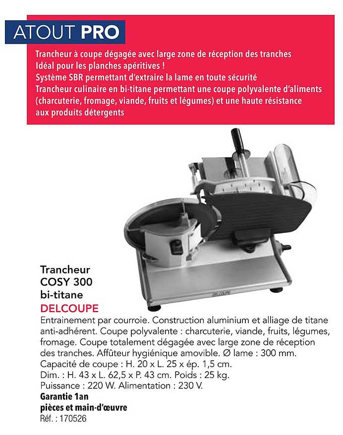 Trancheur COSY 300 bi-titane DELCOUPE