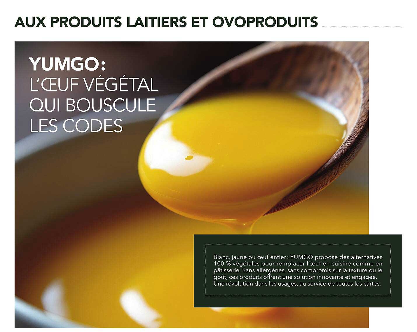 YUMGO: L'œuf végétal qui bouscule les codes