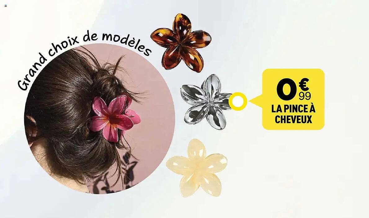 LA PINCE À CHEVEUX