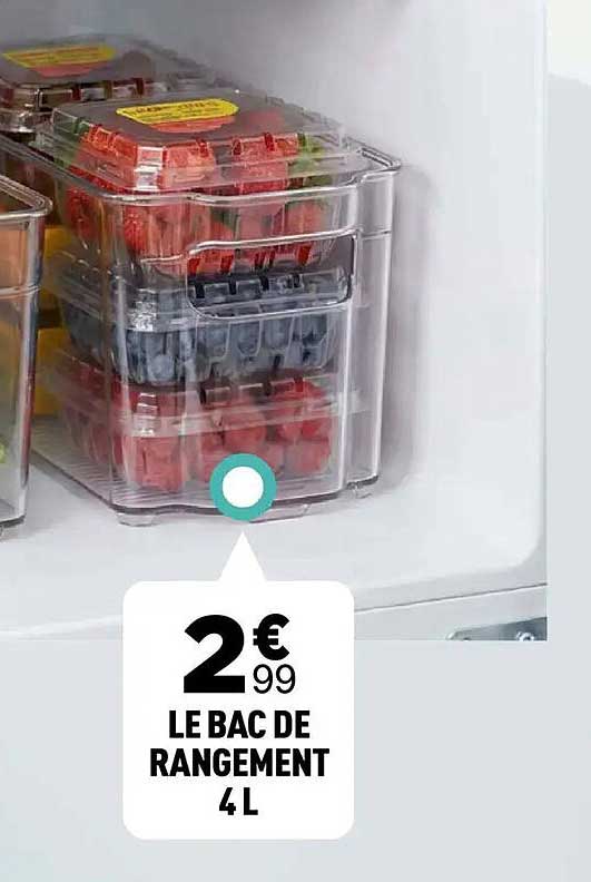 LE BAC DE RANGEMENT 4L