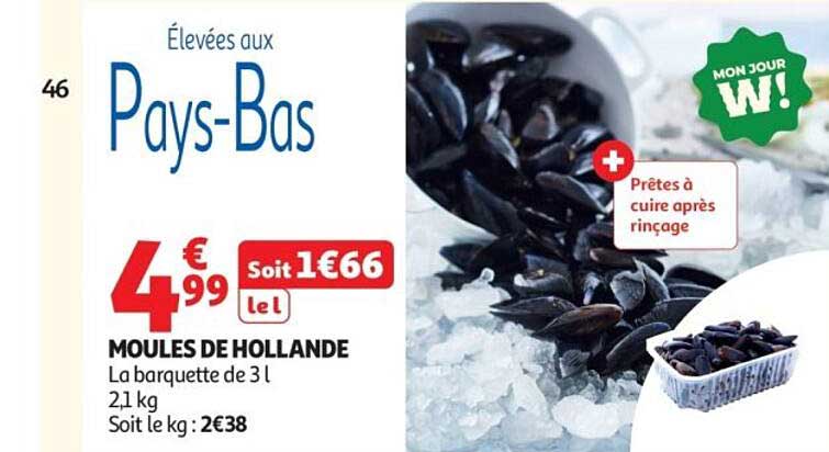 MOULES DE HOLLANDE