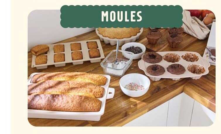 MOULES