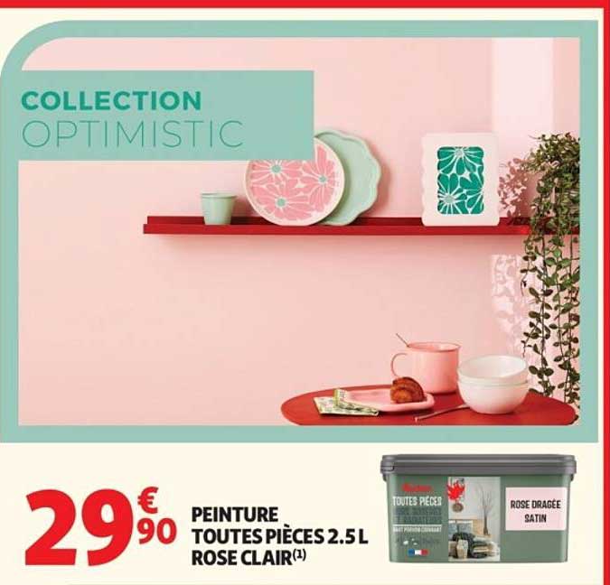 PEINTURE TOUTES PIÈCES 2.5L ROSE CLAIR(1)