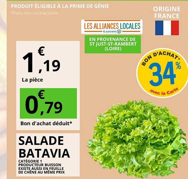 SALADE BATAVIA