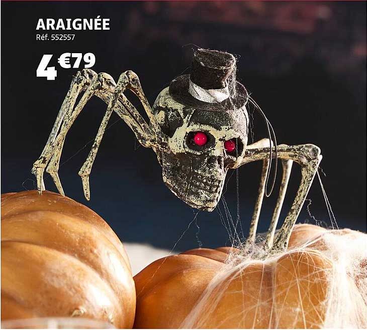 ARAIgnée