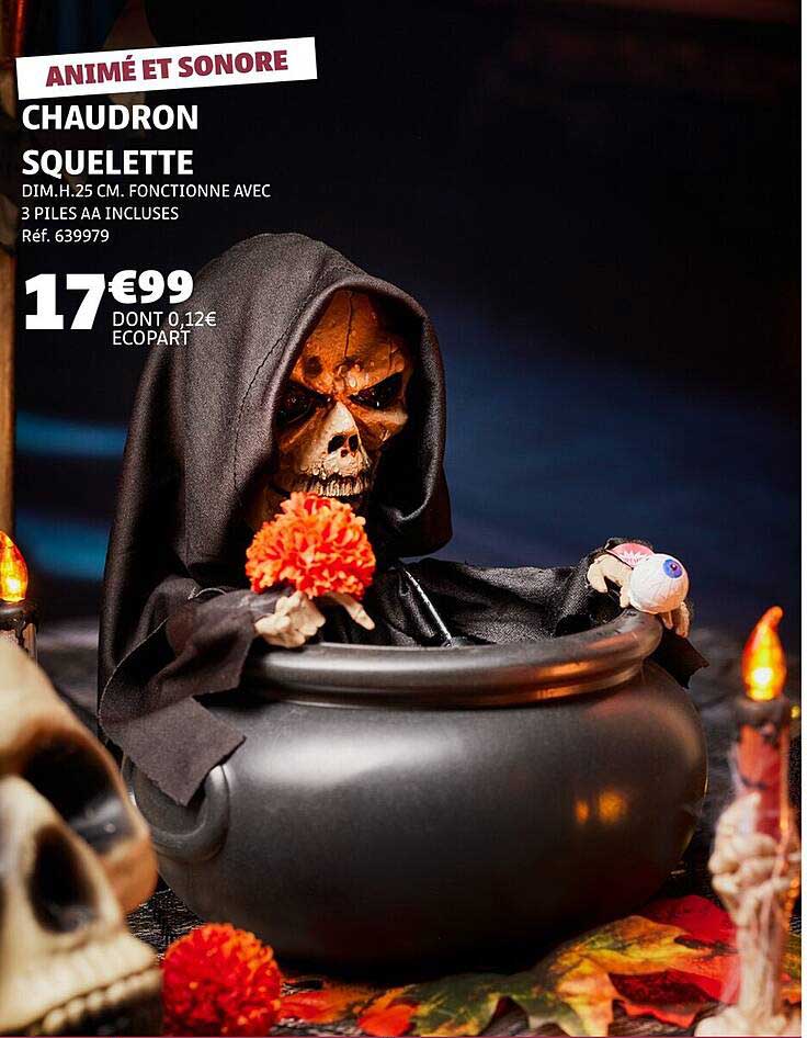 CHAUDRON SQUELETTE