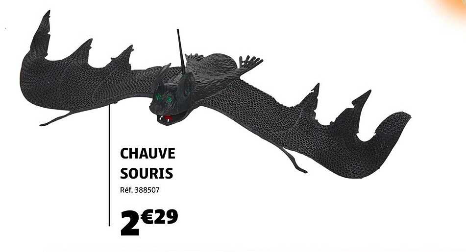 CHAUVE SOURIS