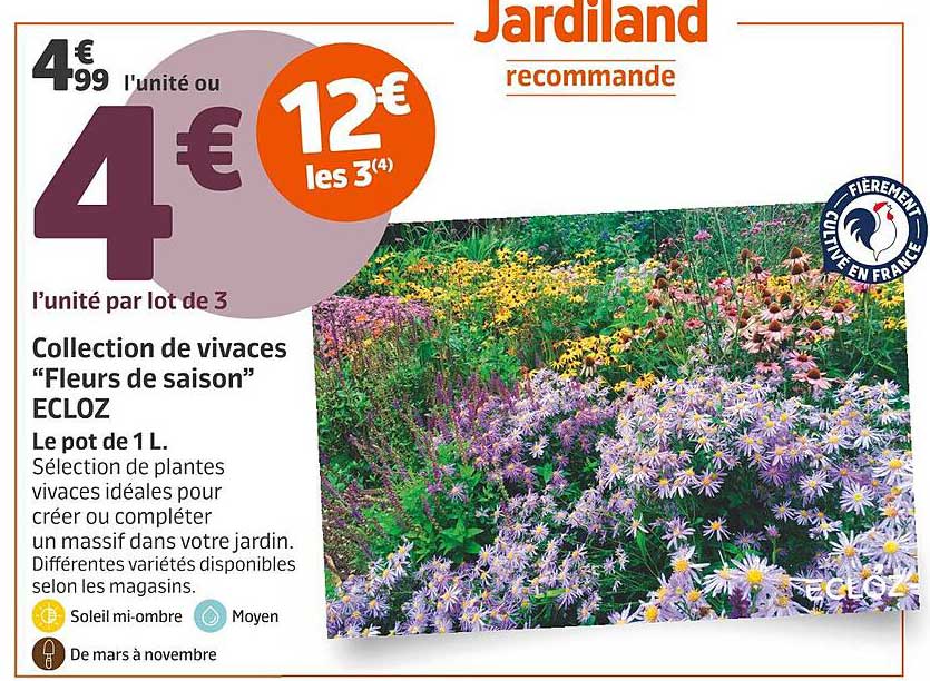 Collection de vivaces "Fleurs de saison" ECL0Z