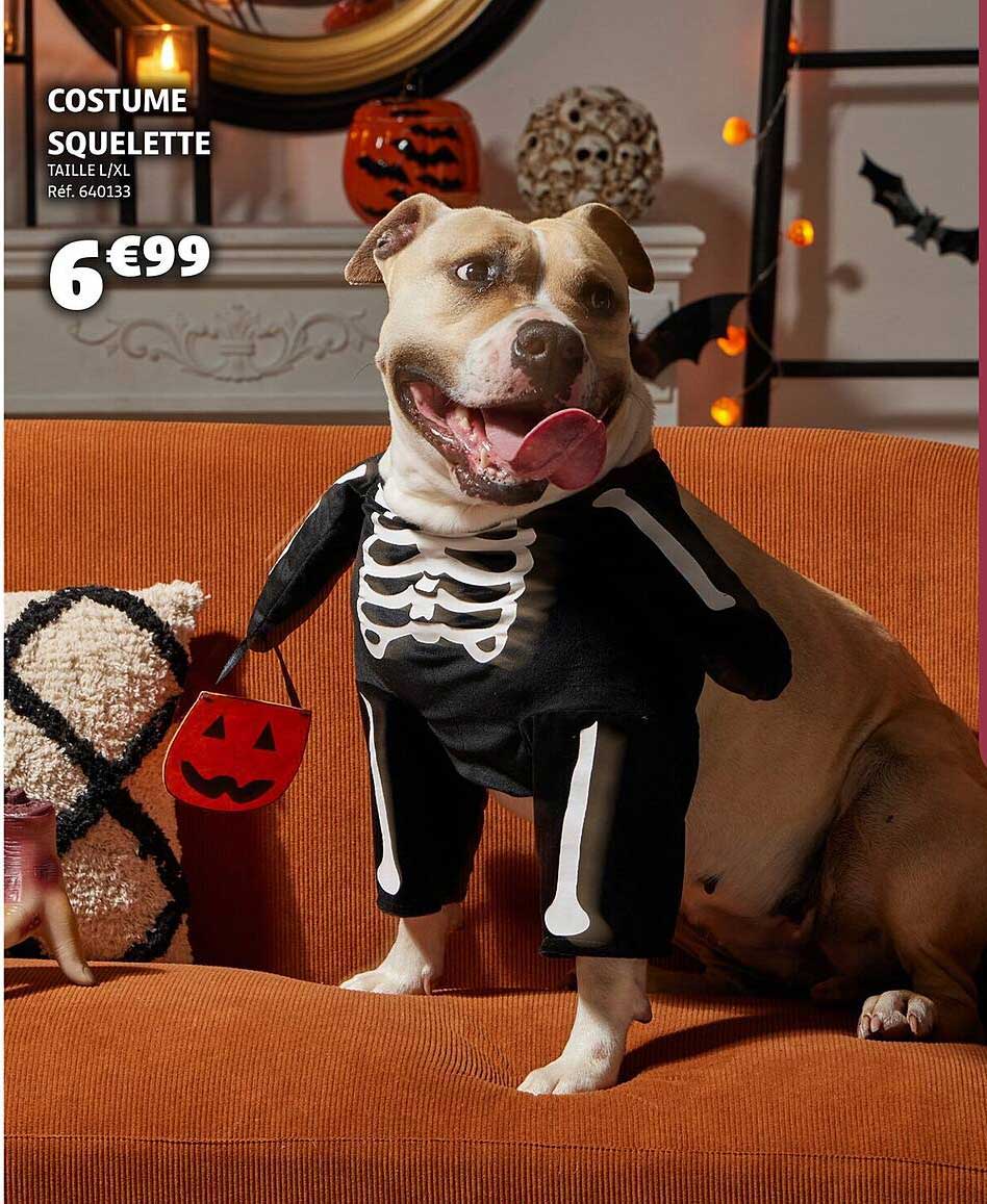 COSTUME SQUELETTE