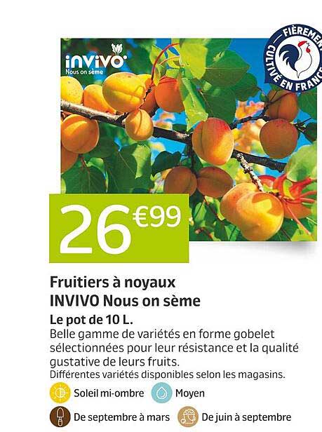 Fruitier à noyaux INVIVO Nous on sème