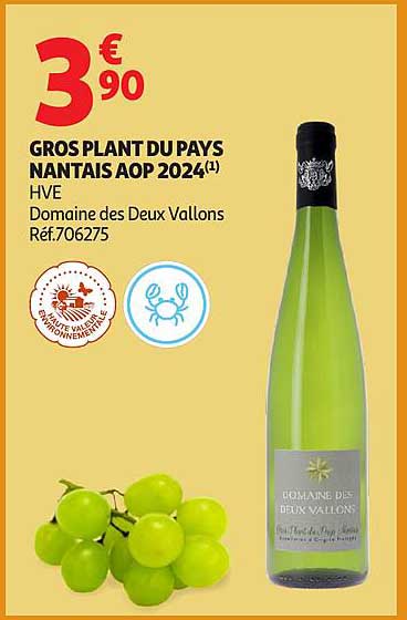 GROS PLANT DU PAYS NANTAIS AOP 2024