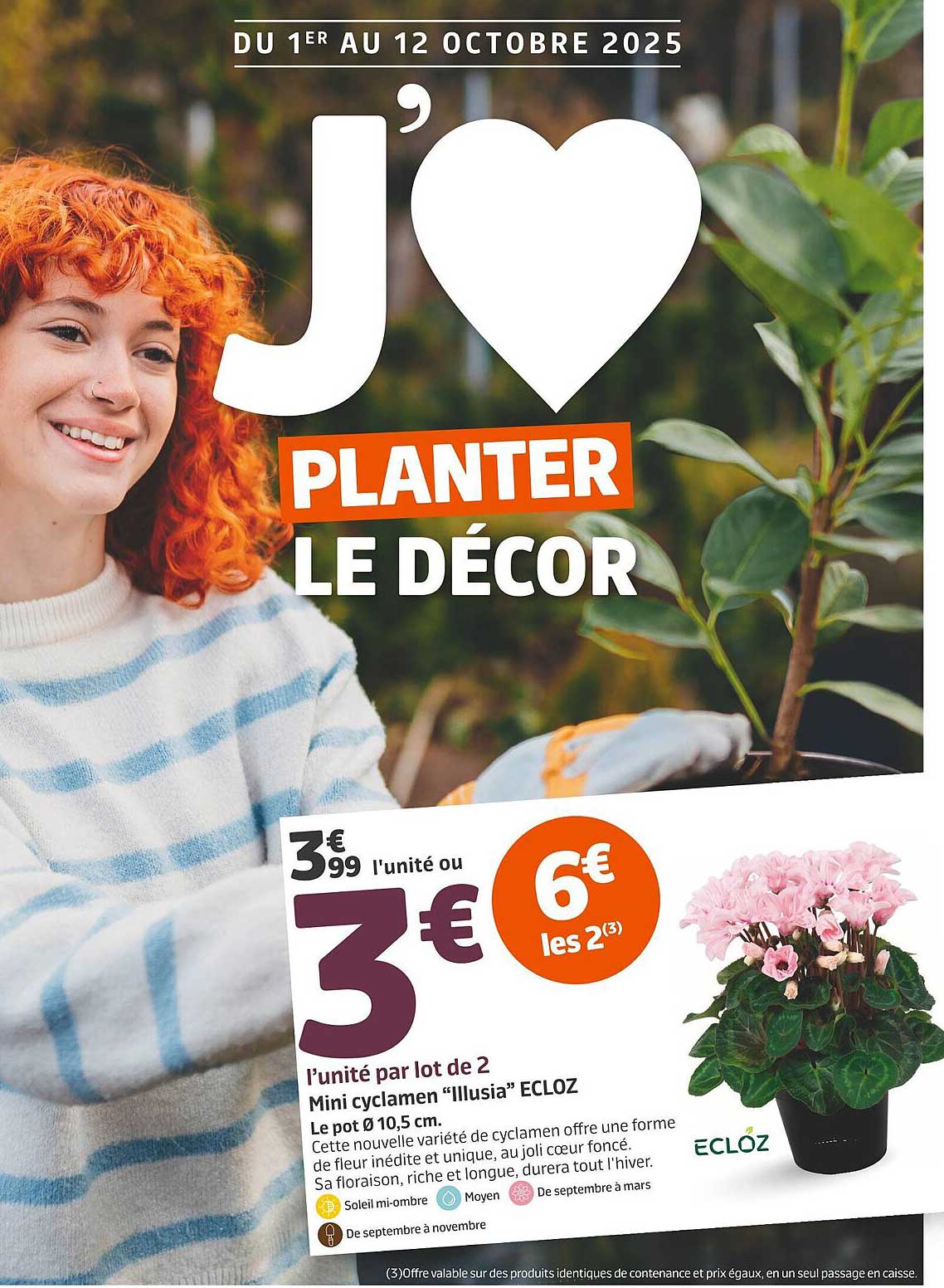 J'❤️ PLANTER LE DÉCOR