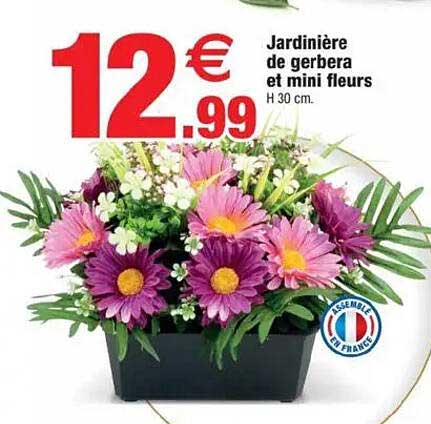 Jardinière de gerbera et mini fleurs