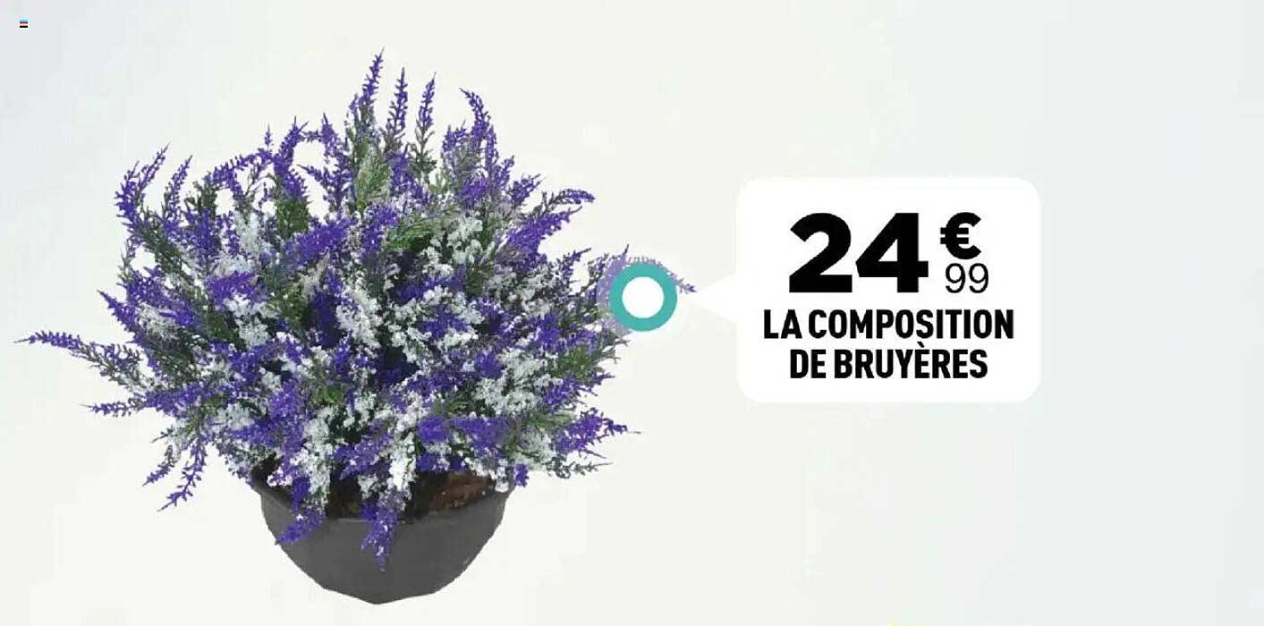 LA COMPOSITION DE BRUYÈRES