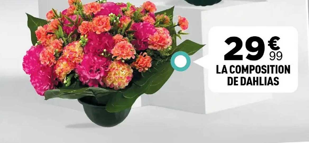 LA COMPOSITION DE DAHLIAS