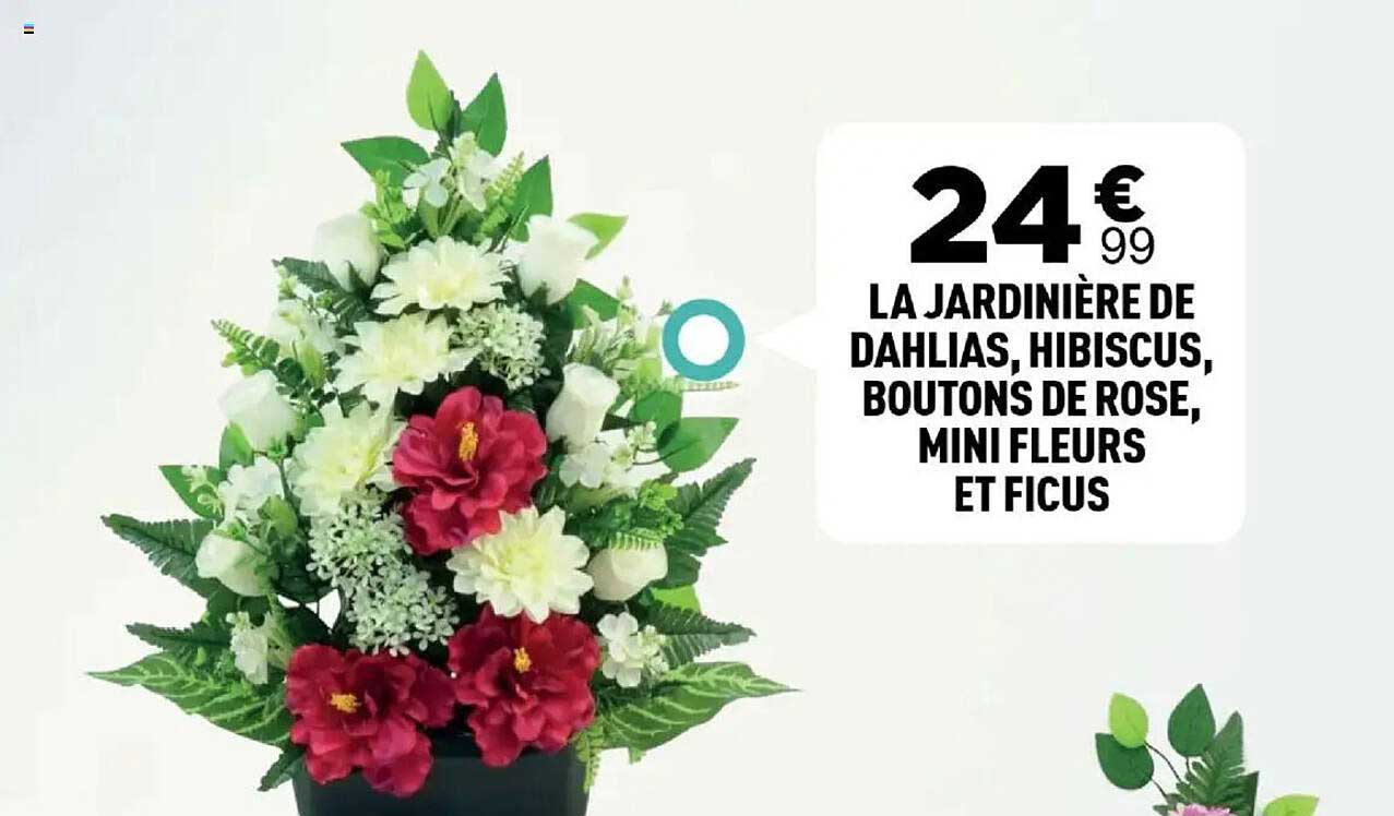 LA JARDINIÈRE DE DAHLIAS, HIBISCUS, BOUTONS DE ROSE, MINI FLEURS ET FICUS