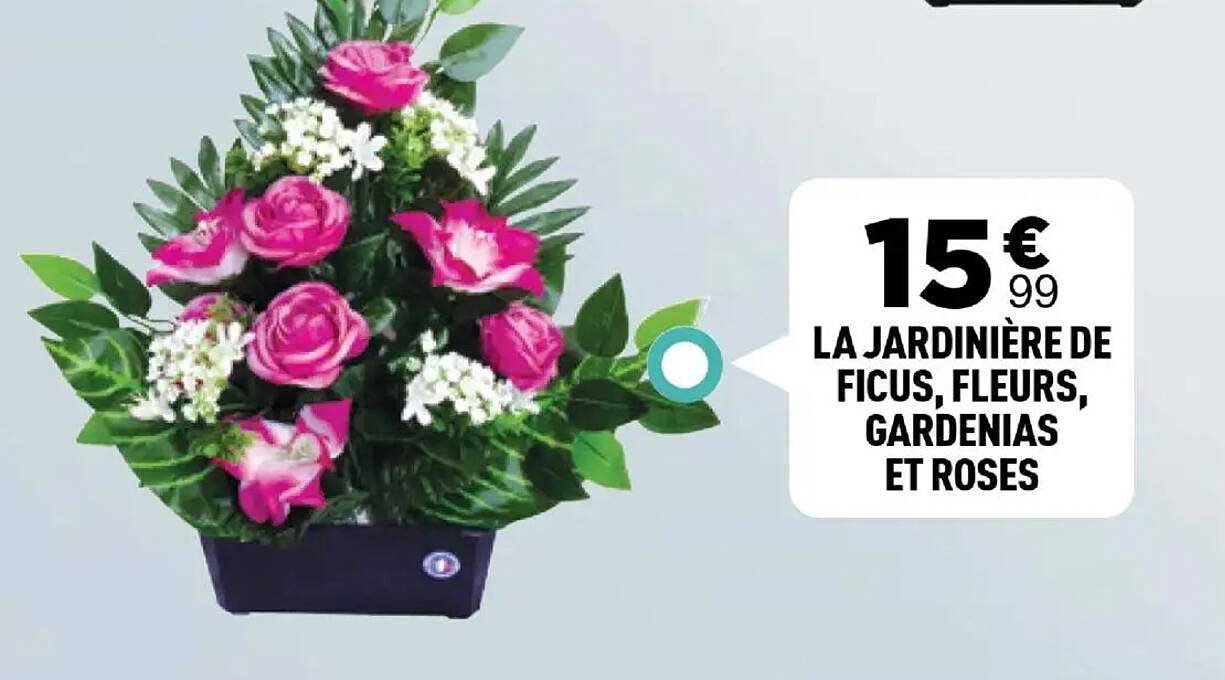 LA JARDINIÈRE DE FICUS, FLEURS, GARDENIAS ET ROSES