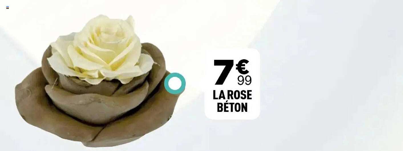 LA ROSE BÉTON